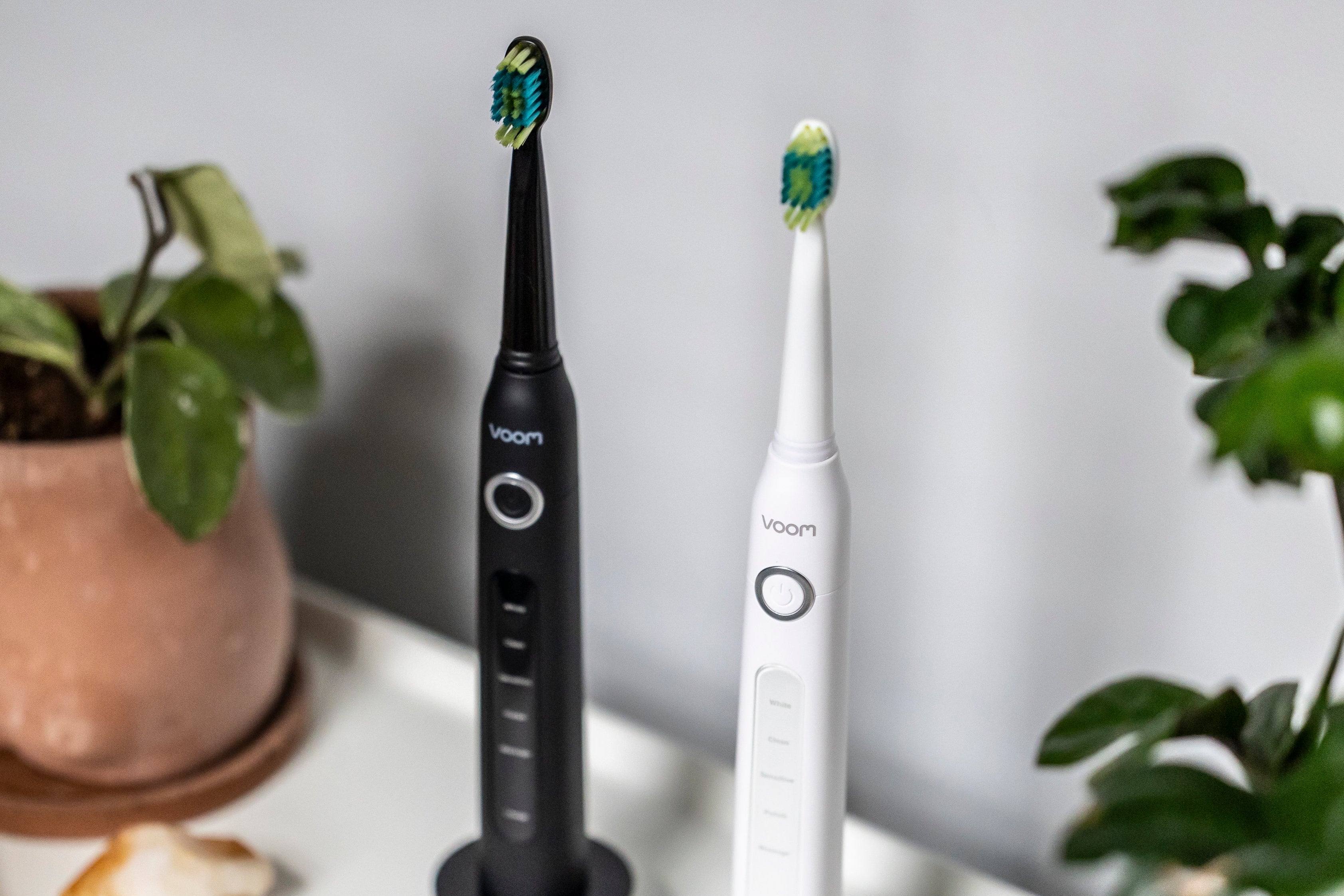 A black electric toothbrush on a stand next to a white electric toothbrush. Both are on a desk with plants on it.